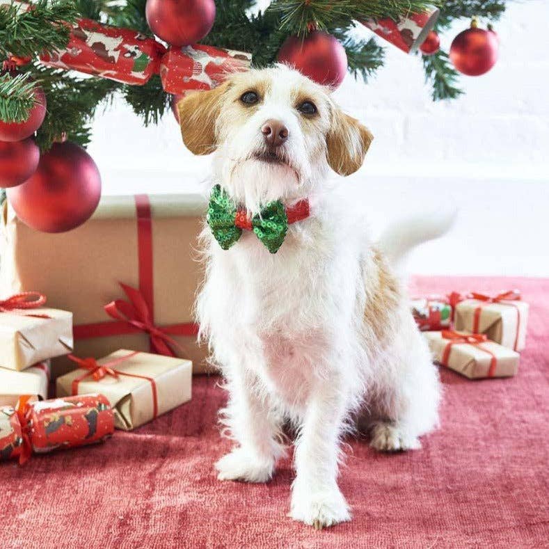 Christmas Entertainment Dog Bow Tie