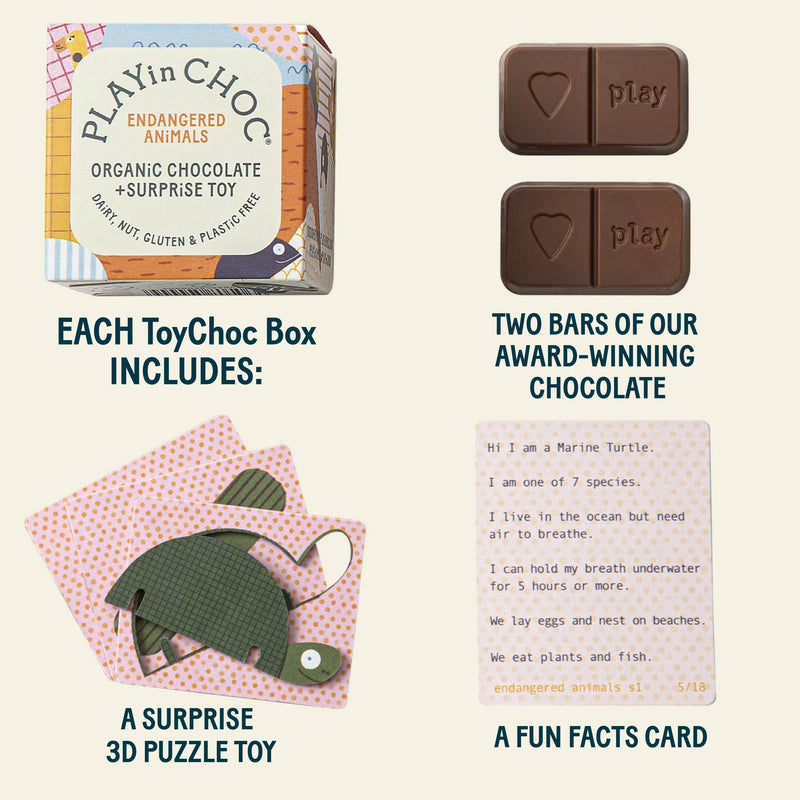 ToyChoc Box - Endangered Animals