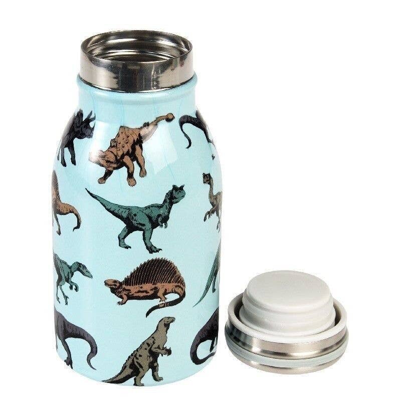 Stainless Steel Bottle 250ml - Prehistoric Land