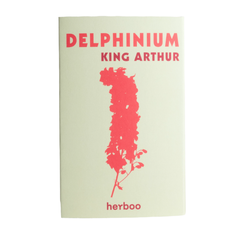 Delphinium 'King Arthur' Seeds