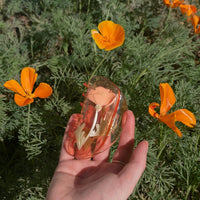California Poppy Claw Clip