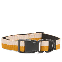 Dog Collar Flat M/L - Off White/Ochre