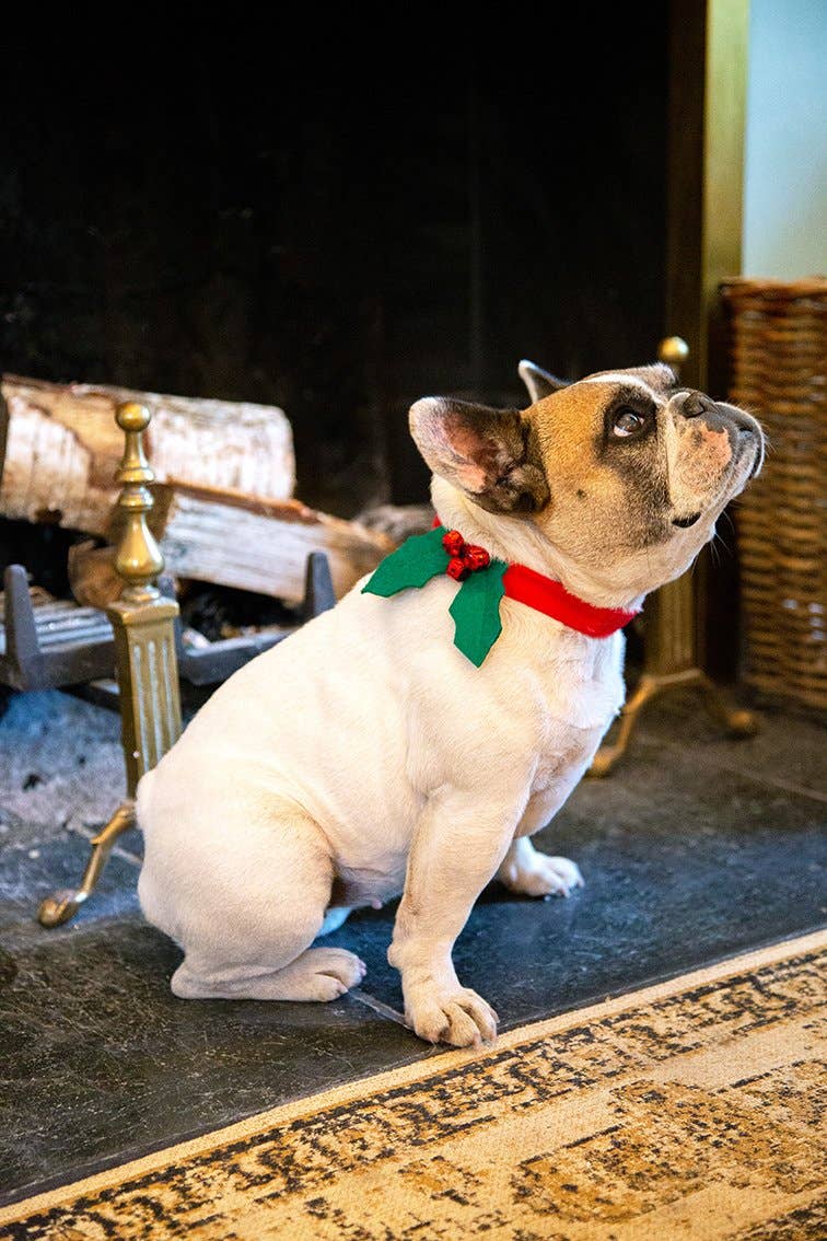 Christmas Holly Dog Accessory | Christmas Fun |