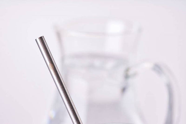 Stainless Steel Drinking Straws - Smoothie Straight - Individual