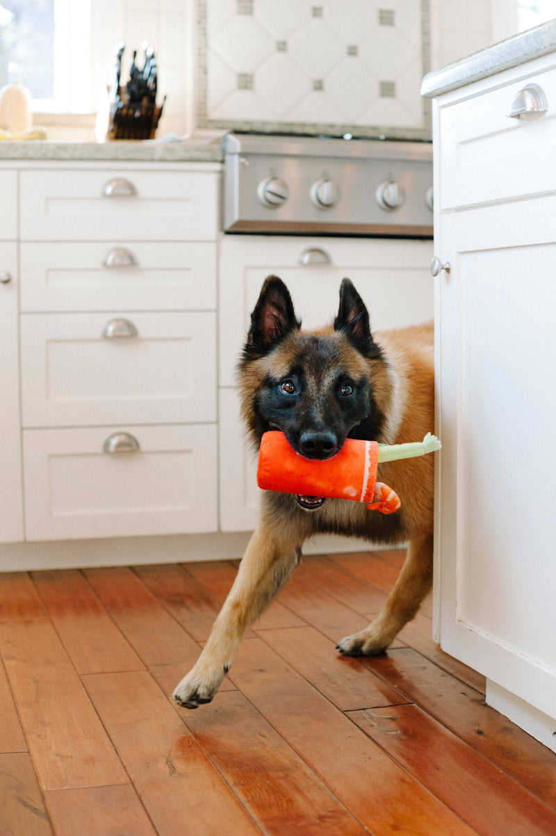 Barking Brunch Buddy Mary Dog Toy