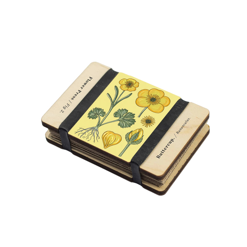 Pocket Flower Press - Vintage Buttercup