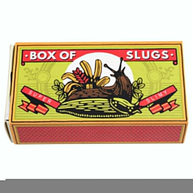 Box of Two Slimy Slugs