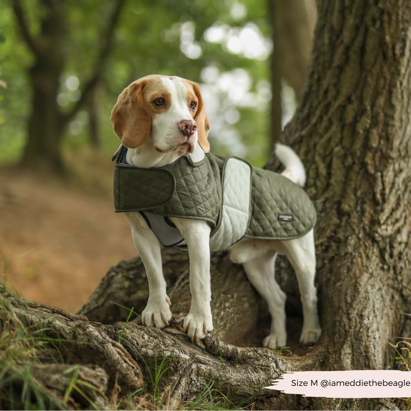 Luxe Quilted Dog Coat - Country Khaki - S