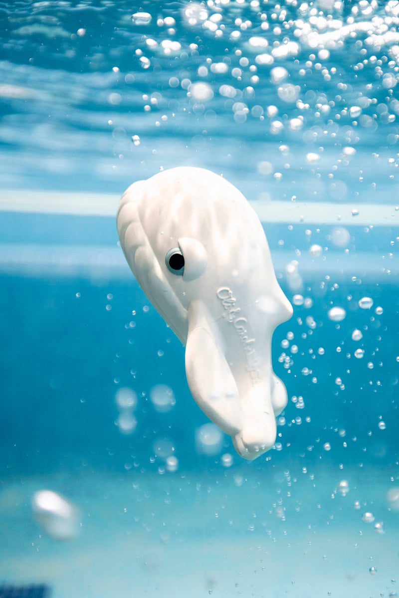 Walter the Whale Bath Toy