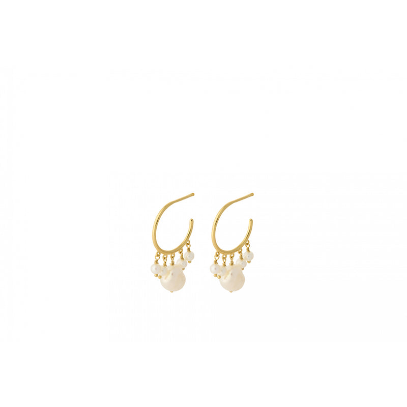 Bay Hoops - Gold Plated