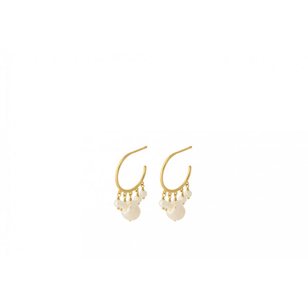 Bay Hoops - Gold Plated