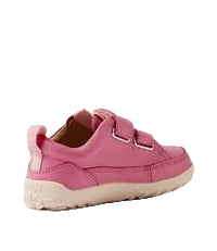 KP Dawn - Cashmere Rose
