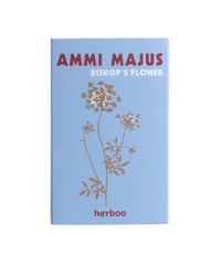 Ammi Majus Seeds