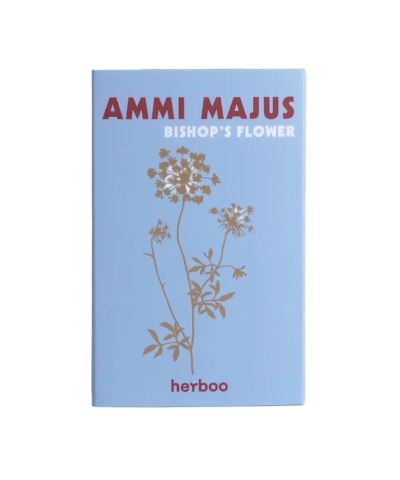 Ammi Majus Seeds