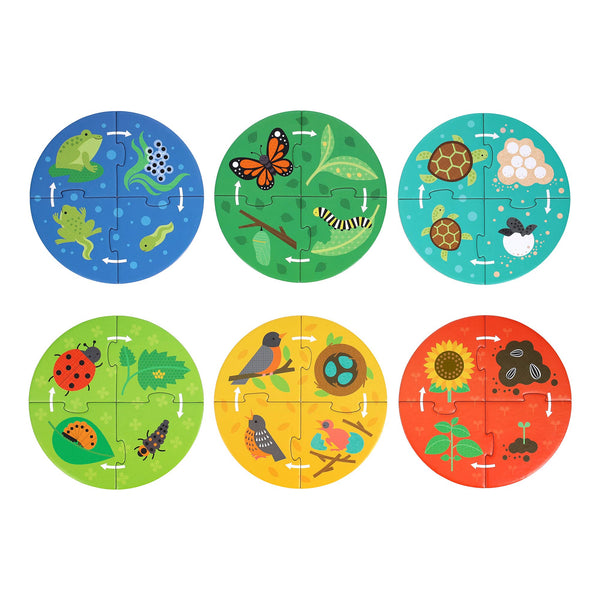 Discovery Puzzle - Life Cycle