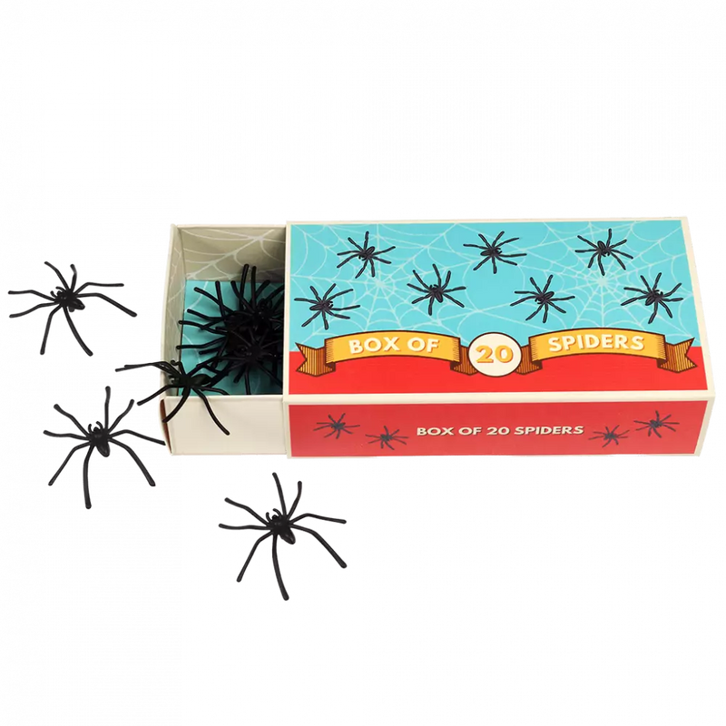 Box of Spiders