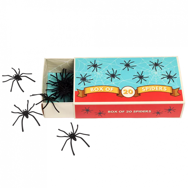 Box of Spiders