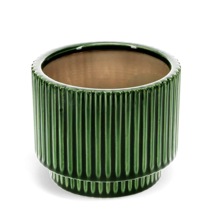 Ridged Plant Pot - Green