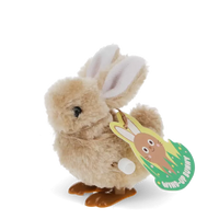Wind-Up Bunny