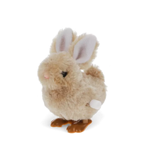 Wind-Up Bunny
