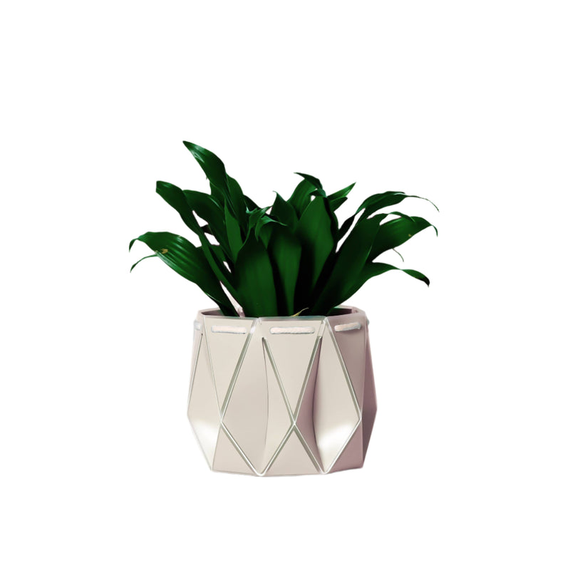 11cm Self-Watering Pot - Ivory White