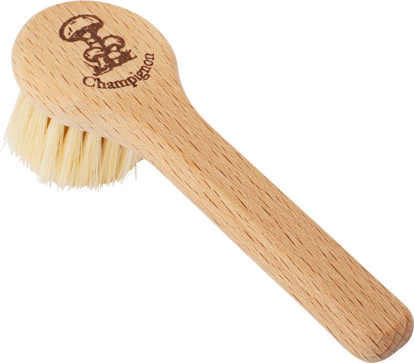 Mushroom Brush with Handle