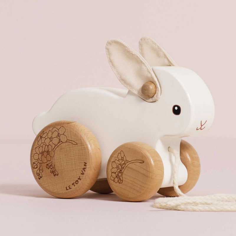 Pull Along Hopping Bunny Rabbit