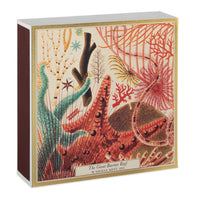 Barrier Reef Square Matchboxes