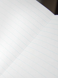 Odd Notes Dino Pocket Notebook: Rex (Lined)