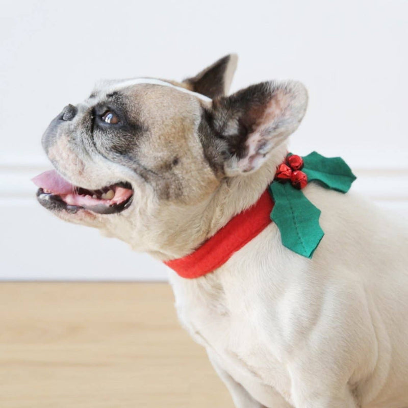 Christmas Holly Dog Accessory | Christmas Fun |