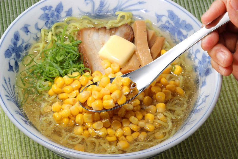 Tsubame Mirror Polished Stainless Steel Slotted Renge Spoon 18cm