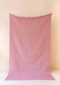 Cotton Throw in Pink Argyle