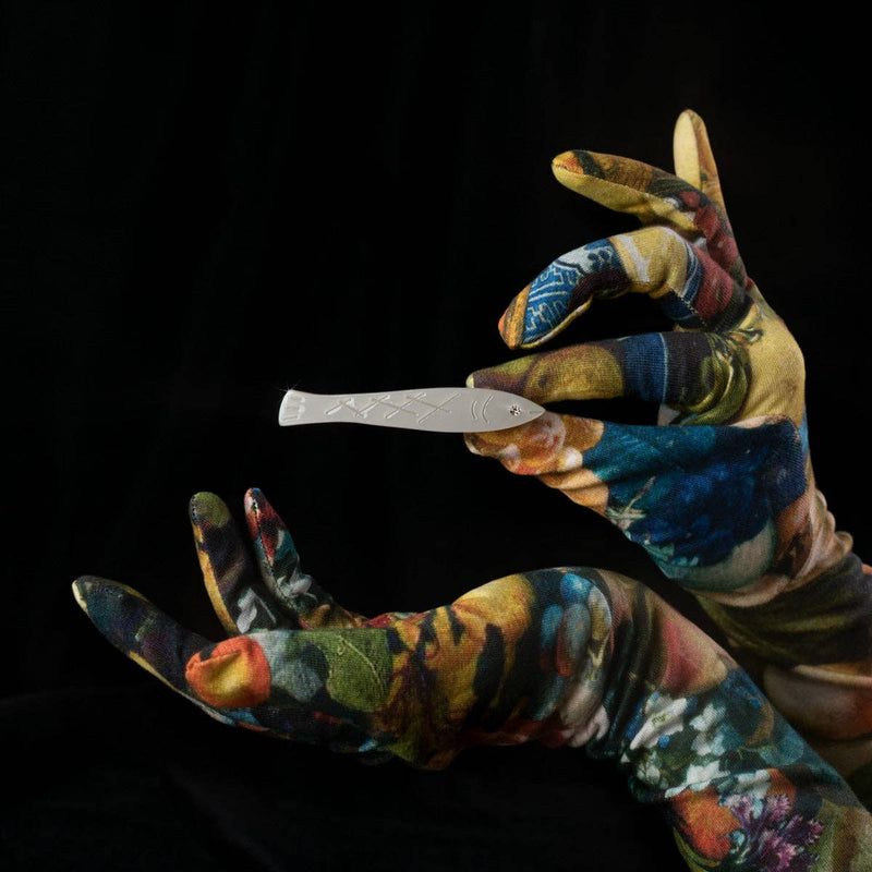 Sardine Fish Hair Clip Set in Silver Acetate with Rhinestone