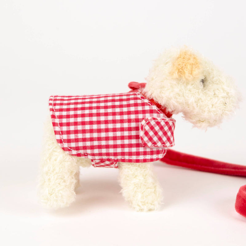Mini Eliot With Leash & Coat