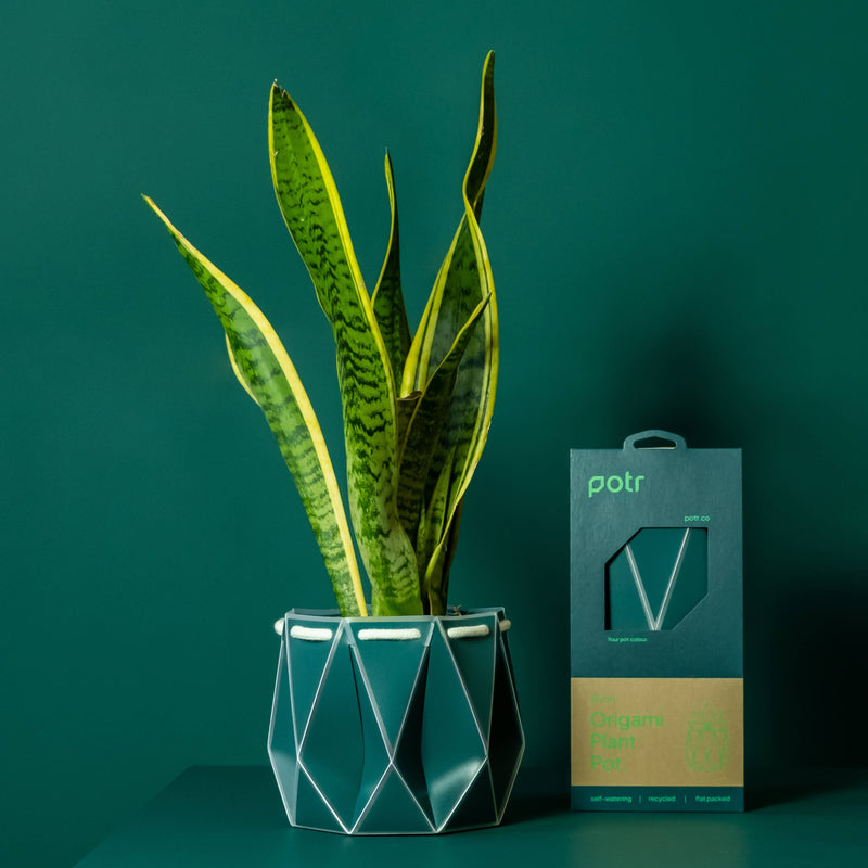 15cm Self-Watering Pot - Dark Teal