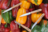 4 Essential Knives Box Set - Beechwood Handles