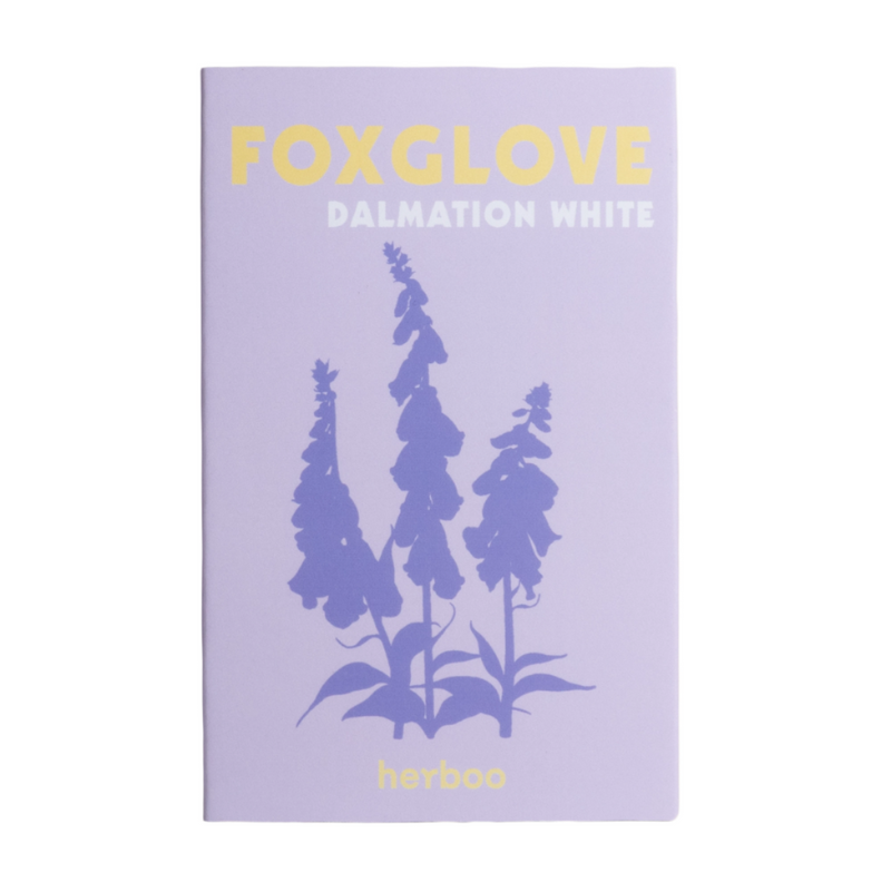 Foxglove ‘Apricot’ Seeds