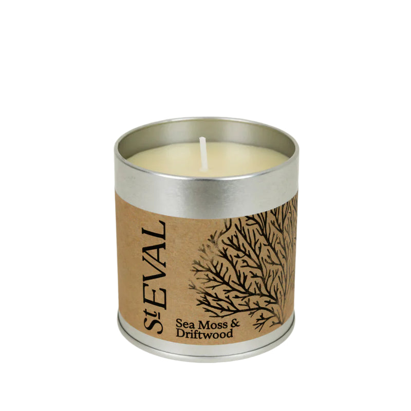 Sea Moss & Driftwood Scented Tin Candle