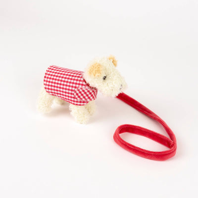Mini Eliot With Leash & Coat