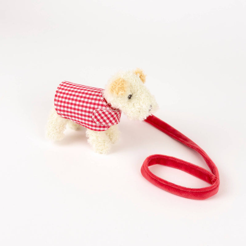 Mini Eliot With Leash & Coat