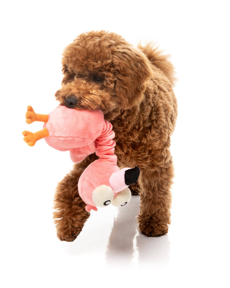 Neckole the Flamingo Dog Toy