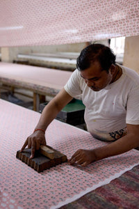 Large Toiletry Bag - Ditsy Floral Blush