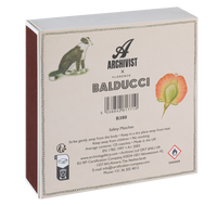 Chien Botanical Drawing Matches | Square Matchboxes