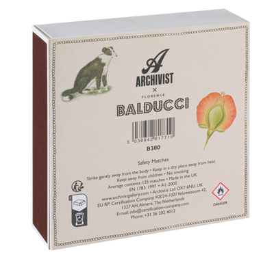 Chien Botanical Drawing Matches | Square Matchboxes