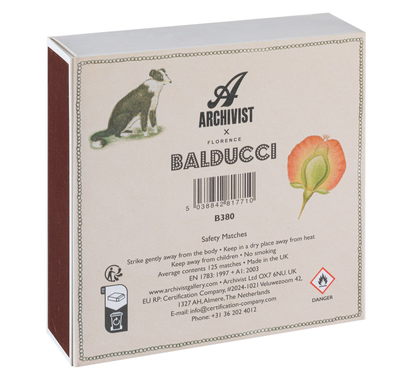 Chien Botanical Drawing Matches | Square Matchboxes