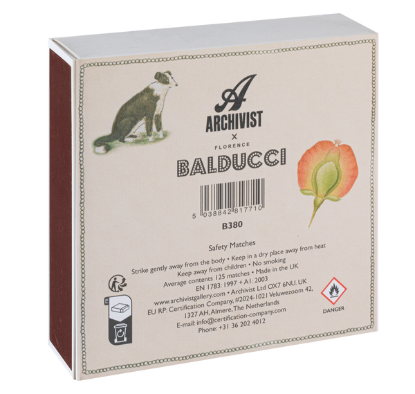 Chien Botanical Drawing Matches | Square Matchboxes