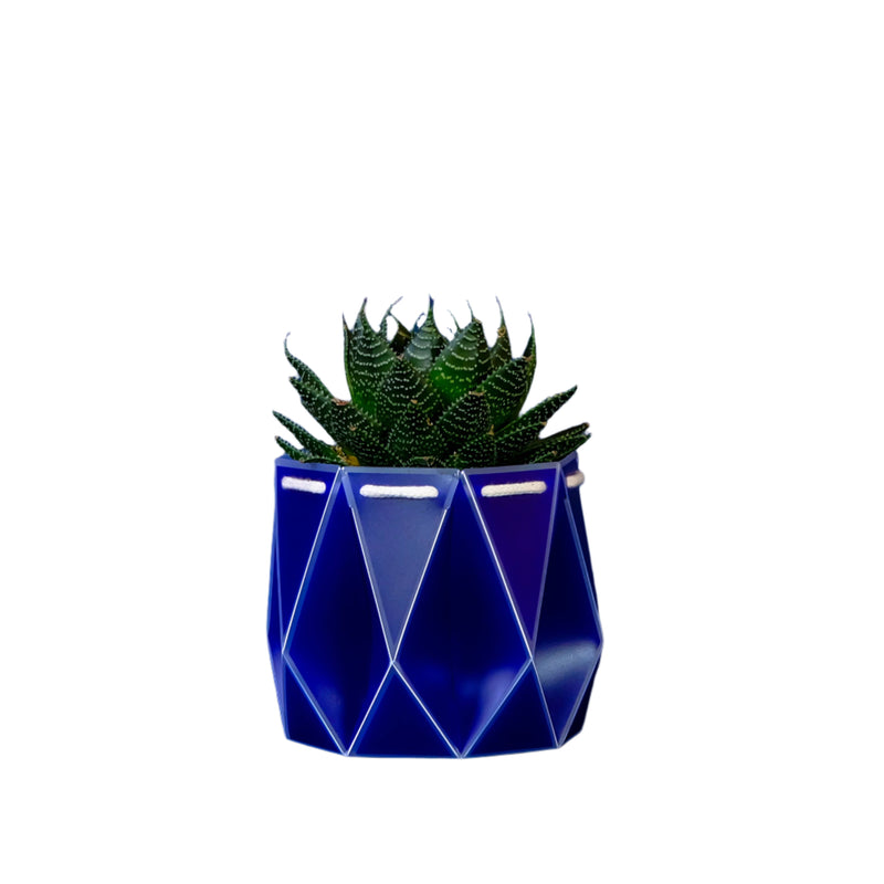 11cm Self-Watering Pot - Navy