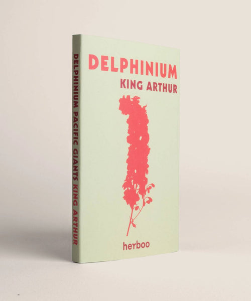 Delphinium 'King Arthur' Seeds