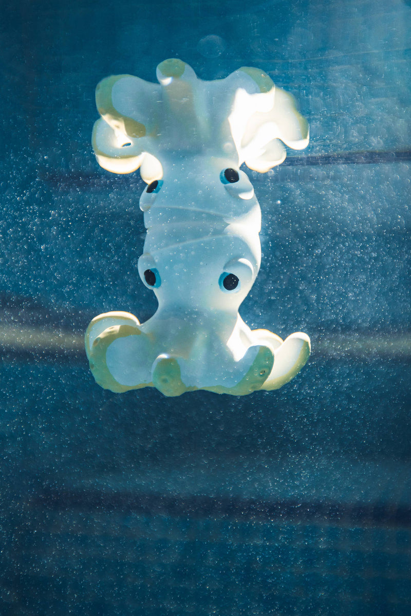 Orlando the Octopus Bath Toy