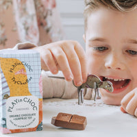 ToyChoc Box - Dinosaurs